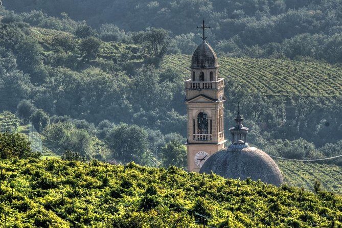 Bike Station Valpolicella: E-bike tour & Amarone Tasting - Authenticity and Local Flavor