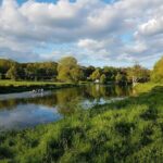 Bike Tour Along The Historic Waterways Of Dublin - Why This Tour Offers Great Value