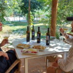 Biodynamic Wine Tasting with Producer in Vinci - Key Points