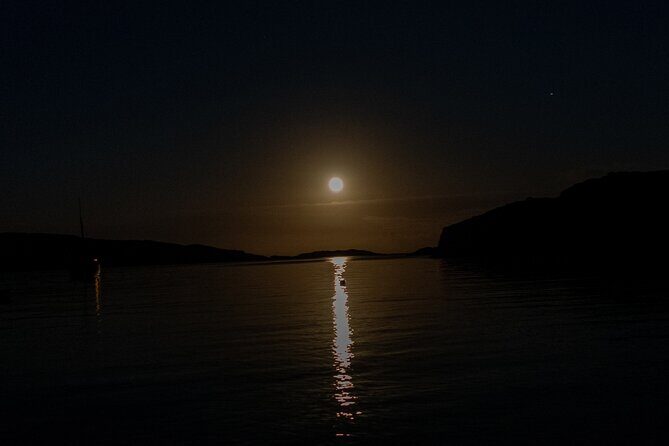 Bioluminescent Swim Experience in West Cork with Storytelling - The Itinerary in Detail