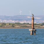 Birdwatching Boat Tour in the Tagus Estuary - Who Would Love This Tour?