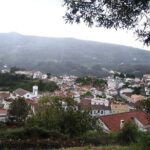 Birdwatching day in the Monchique hills - FAQ