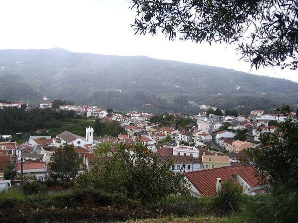 Birdwatching day in the Monchique hills - FAQ