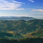 Black Forest Day Tour - Transportation, Timing, and Group Size