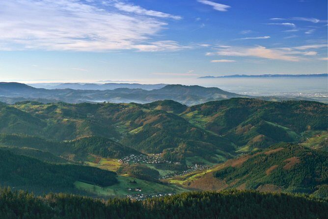Black Forest Day Tour - Transportation, Timing, and Group Size
