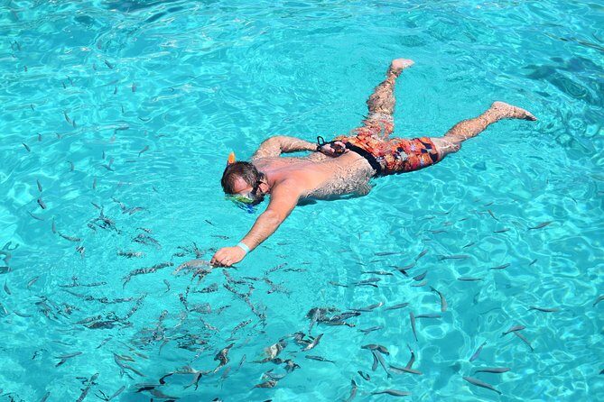 Blue Lagoon, Beaches and Bays Catamaran Sailing Tour - What Reviewers Love & Not So Much