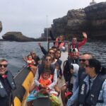 Boat Tour in Peniche - FAQ