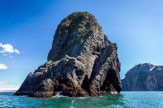 Boat Tour in Vestmannaeyjar - FAQ