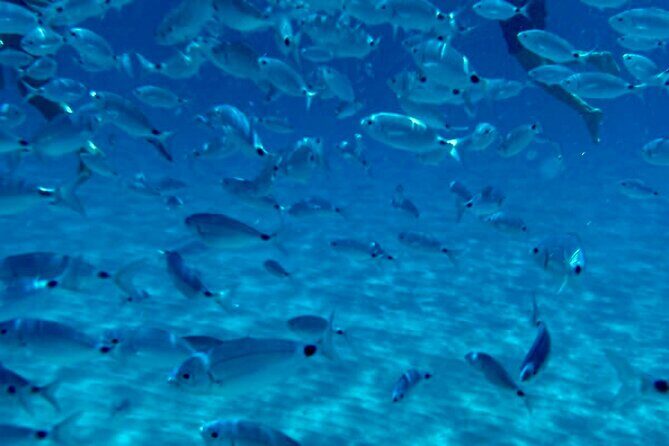 Boat Tour to Sella del Diavolo: Snorkeling, GoPro & Beer - The Value of the Experience