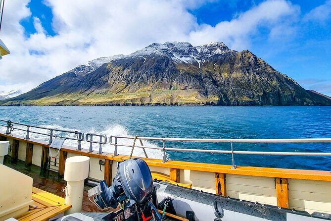 Boat Tours from Siglufjörður - Who Will Love This Adventure?