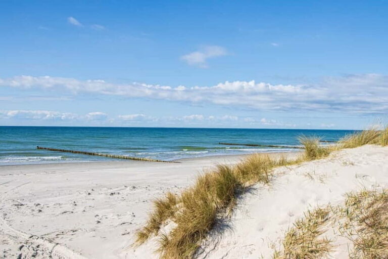 Boat trip to the Island of Hiddensee from Zingst - Practical Details and Value