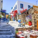 Bodrum-Kos-Bodrum Same Day Return Ferry Ticket from Cruise Port - Authentic Insights from Traveler Reviews
