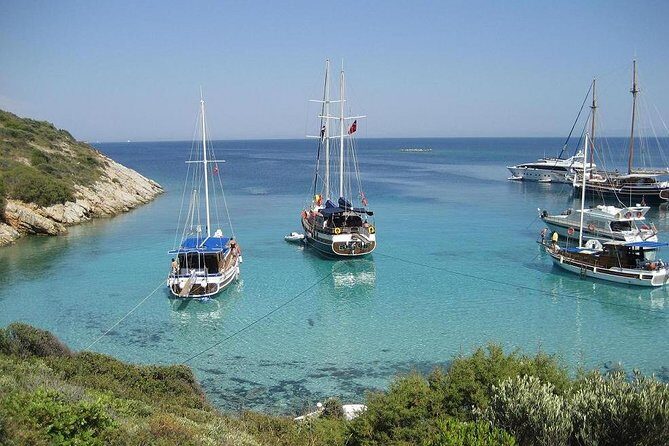 Bodrum Private Gulet Tour with Lunch - Who Is This Tour Best For?