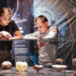 Body Worlds Amsterdam Fast-lane Ticket - Who Should Visit?