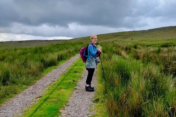 Bog Safari Hike - Why This Tour Offers Great Value