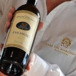 Bolgheri: Premium Wine Tasting with Winery Tour - Discovering Bolgheri’s Charm: A Deep Dive into the Tour