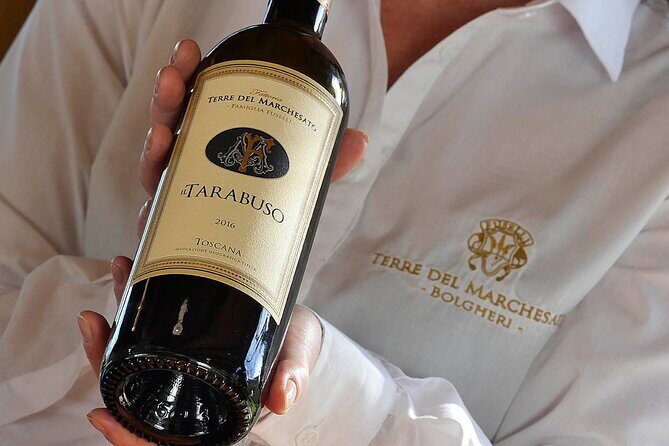 Bolgheri: Premium Wine Tasting with Winery Tour - Discovering Bolgheri’s Charm: A Deep Dive into the Tour