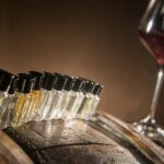 Bolgheri: Sensorial Wine Tasting with Winery Tour - An In-Depth Look at the Tour