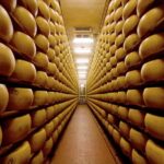 Bologna Food Experience: Factory tours & Family-Style Lunch - The Sum Up