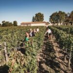 Bordeaux: St-Emilion and Medoc Wine Day Tour with Lunch - What’s Included and What to Expect