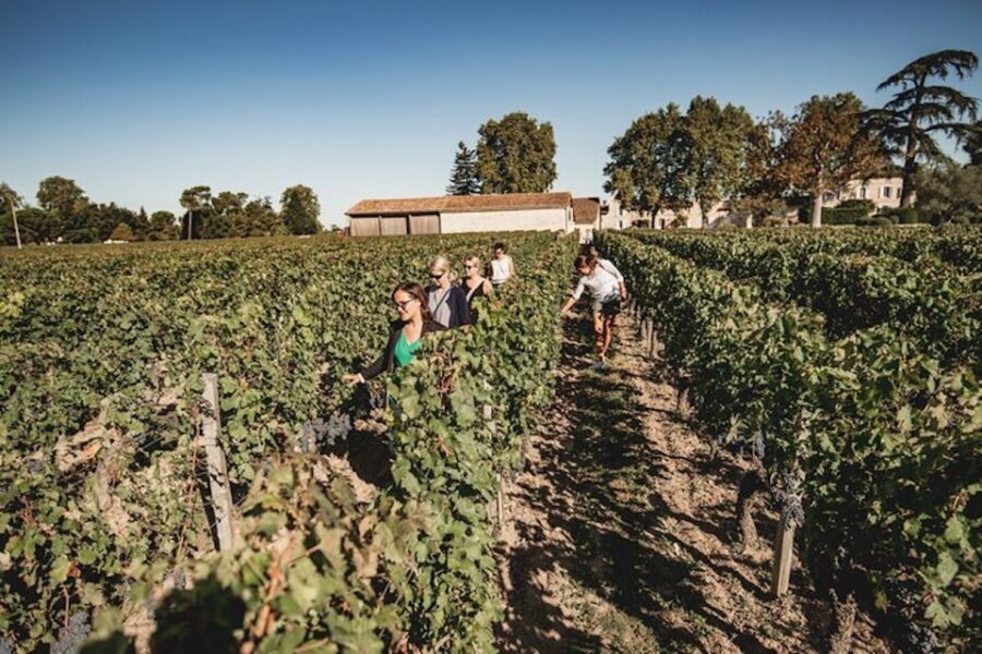 Bordeaux: St-Emilion and Medoc Wine Day Tour with Lunch - What’s Included and What to Expect