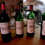 Bordeaux Wine Tasting  Discover Old Vintages - Who Is This Tour Best For?