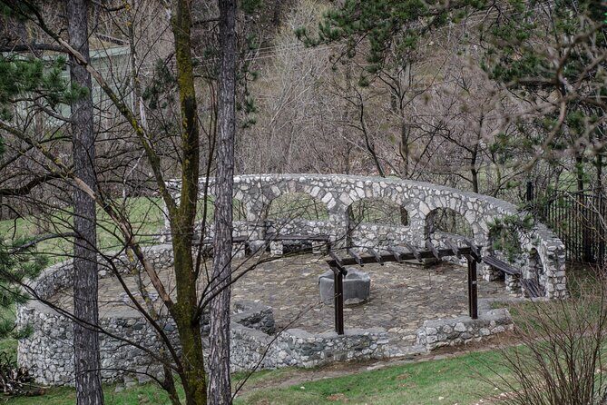Bran Castle, Bear Sanctuary, and Rasnov Fortress Half Day Tour - What Travelers Say About the Experience