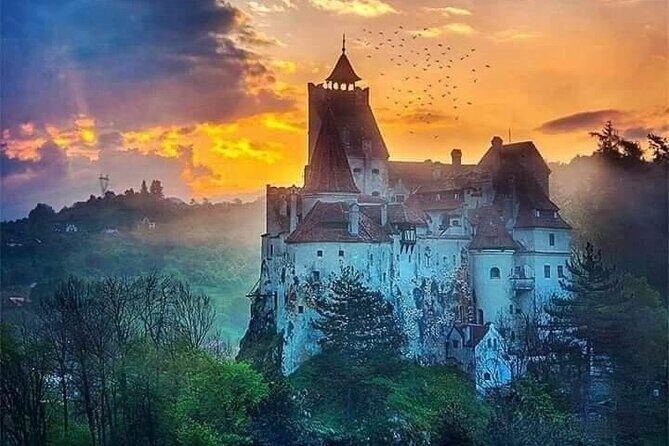 Bran Castle, Rasnov Fortress, Harman & Prejmer Fortified Churches Day Tour - An In-Depth Look at the Itinerary