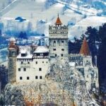 Brasov: Bears Sanctuary, Rasnov Fortress, Bran Castle GUIDED Tour - This Tour’s Perfect For