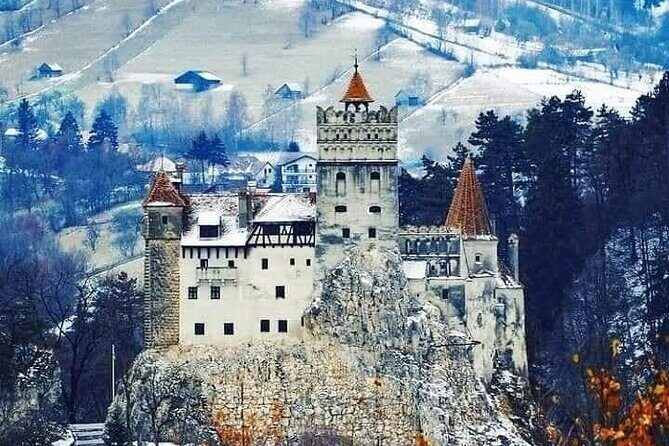 Brasov: Bears Sanctuary, Rasnov Fortress, Bran Castle GUIDED Tour - This Tour’s Perfect For