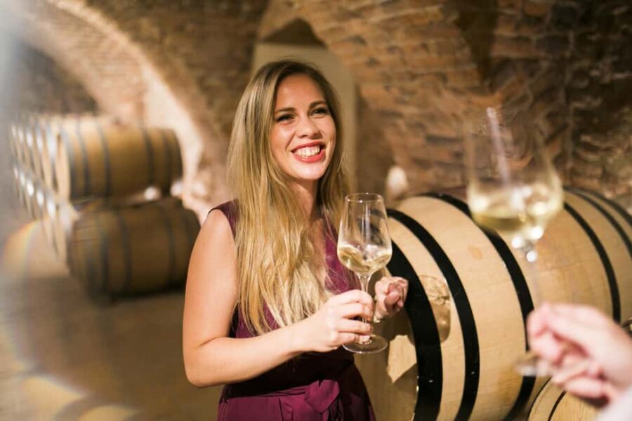 Bratislava: Devin Castle and Wine Tasting Private Tour - What the Itinerary Looks Like