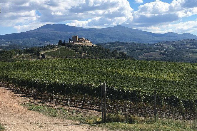 Brunello E-Bike Tour - Authentic, Well-Rounded Experience