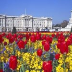 Buckingham Palace and Windsor Castle Self-Guided Tour with Coach - Who Will Love This Tour?