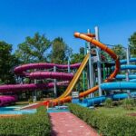 Budapest Palatinus Bath Full-Day Admission - Location & Setting