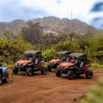 Buggy Adventure in Madeira off Road - Final Thoughts: Is It Worth It?