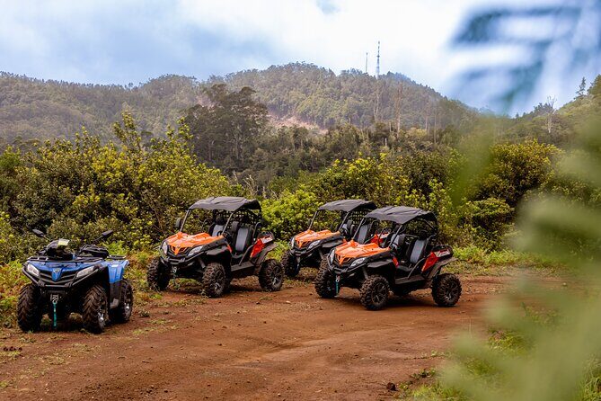Buggy Adventure in Madeira off Road - Final Thoughts: Is It Worth It?
