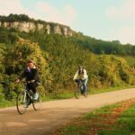 Burgundy Bike Tour with Wine Tasting from Beaune - Who Should Book This Tour?