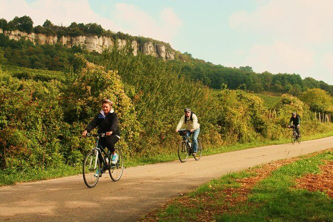 Burgundy Bike Tour with Wine Tasting from Beaune - Who Should Book This Tour?