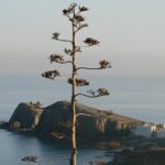 Cabo de Gata Natural Park from Roquetas, Aguadulce & Almeria - What Travelers Are Saying: Authentic Perspectives
