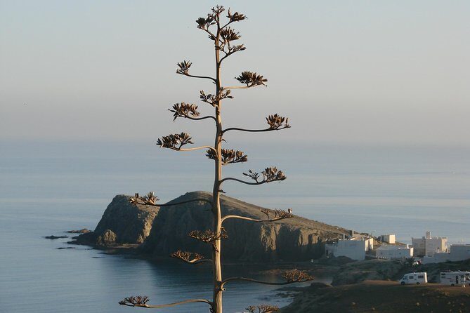 Cabo de Gata Natural Park from Roquetas, Aguadulce & Almeria - What Travelers Are Saying: Authentic Perspectives