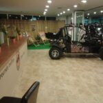 Cala Millor/Sa Coma: Guided Buggy Tour - Why Travelers Love This Tour