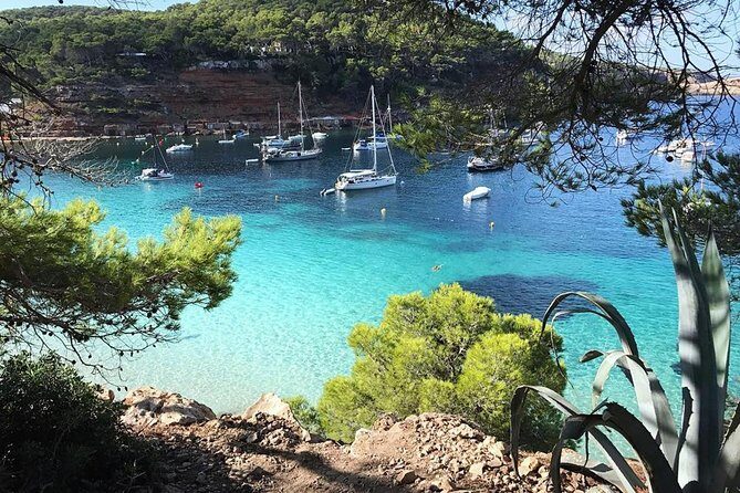 Cala Salada and Unspoiled North Beach Tour. Snorkelling and Aquarium - The Itinerary: Step-by-step