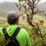 Caldeira do Faial Descent - private hiking tour - The Experience from a Hiker’s Perspective