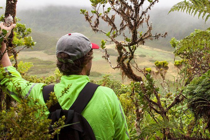 Caldeira do Faial Descent - private hiking tour - The Experience from a Hiker’s Perspective