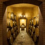 Camporeale: Sallier de La Tour Wine Discovery Tour - Practical Details and Value
