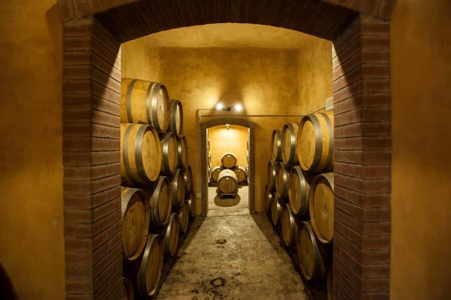Camporeale: Sallier de La Tour Wine Discovery Tour - Practical Details and Value