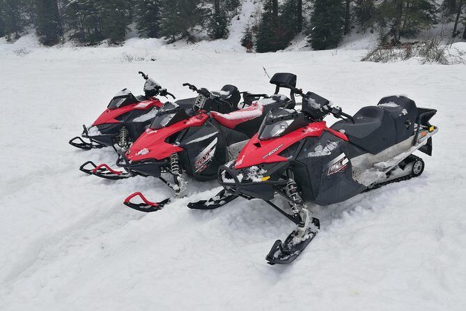 Carpathian mountains Snowmobile, ATV or Buggy tour in one day - A Deep Dive into the Experience