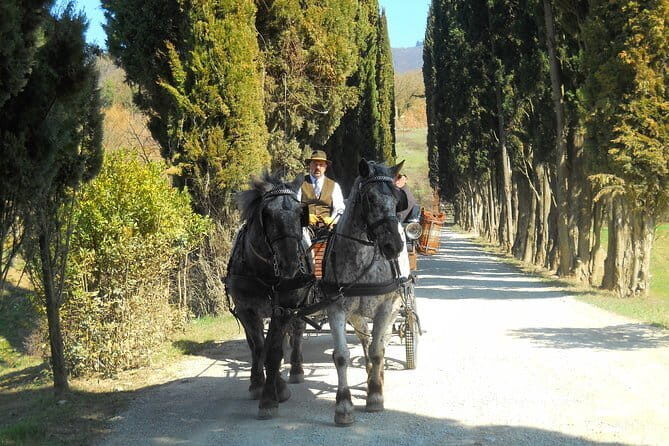 Carriage ride and Lunch in a typical restaurant in the heart of Chianti - Authenticity and Experience from Past Travelers