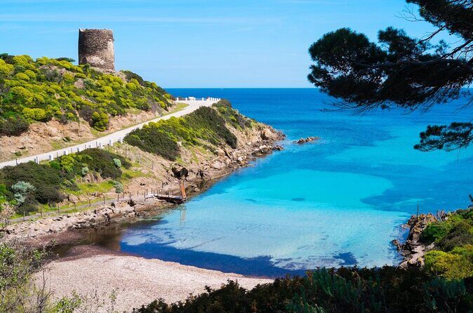 Catamaran excursions in the Asinara island National park - Pricing and Value