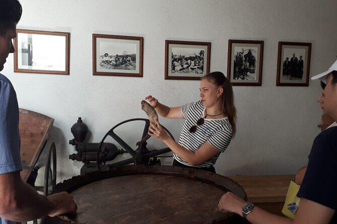 Cava tour to 3 family wineries with hotel pick-up - What Makes This Tour Stand Out?